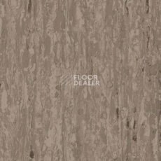 Линолеум Tarkett iq Optima BROWN BEIGE 0899 фото 1 | FLOORDEALER